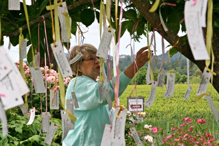 MEMORIES TREE